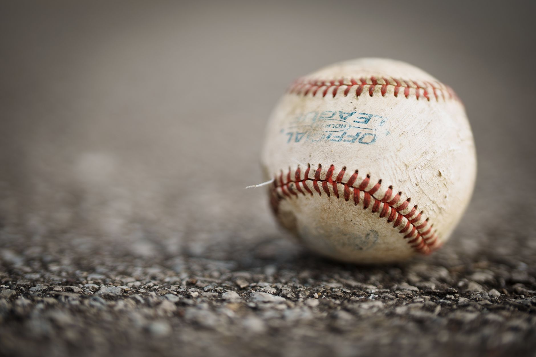 新庄オリックス2024年シーズン最新情報まとめ
