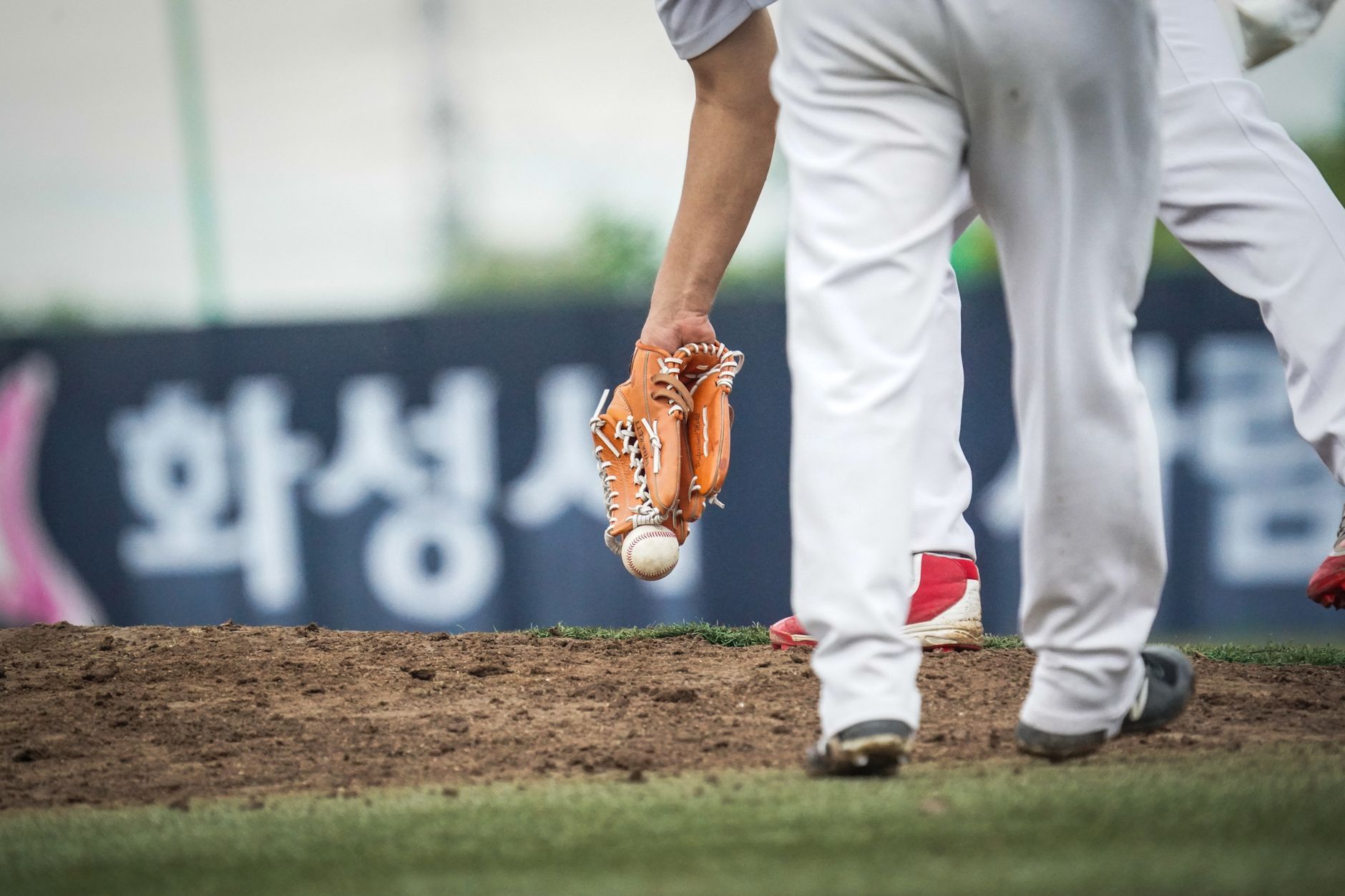 プロ野球オールスター2024 プラスワン投票の仕組みと楽しみ方を解説 - 投票詳細と期間