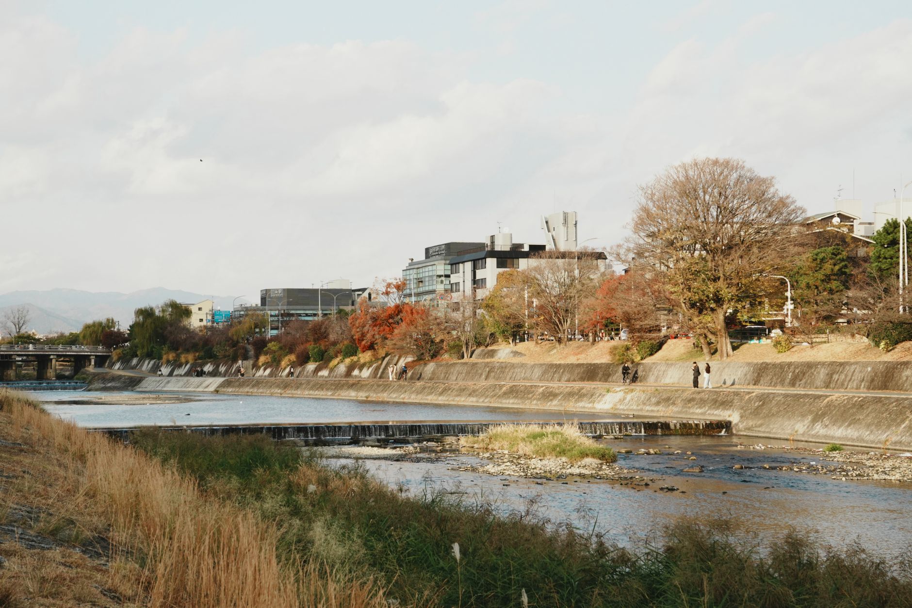 京都の天気がトレンド入りした理由とその影響を徹底分析 – 2026年7月の注目ポイント