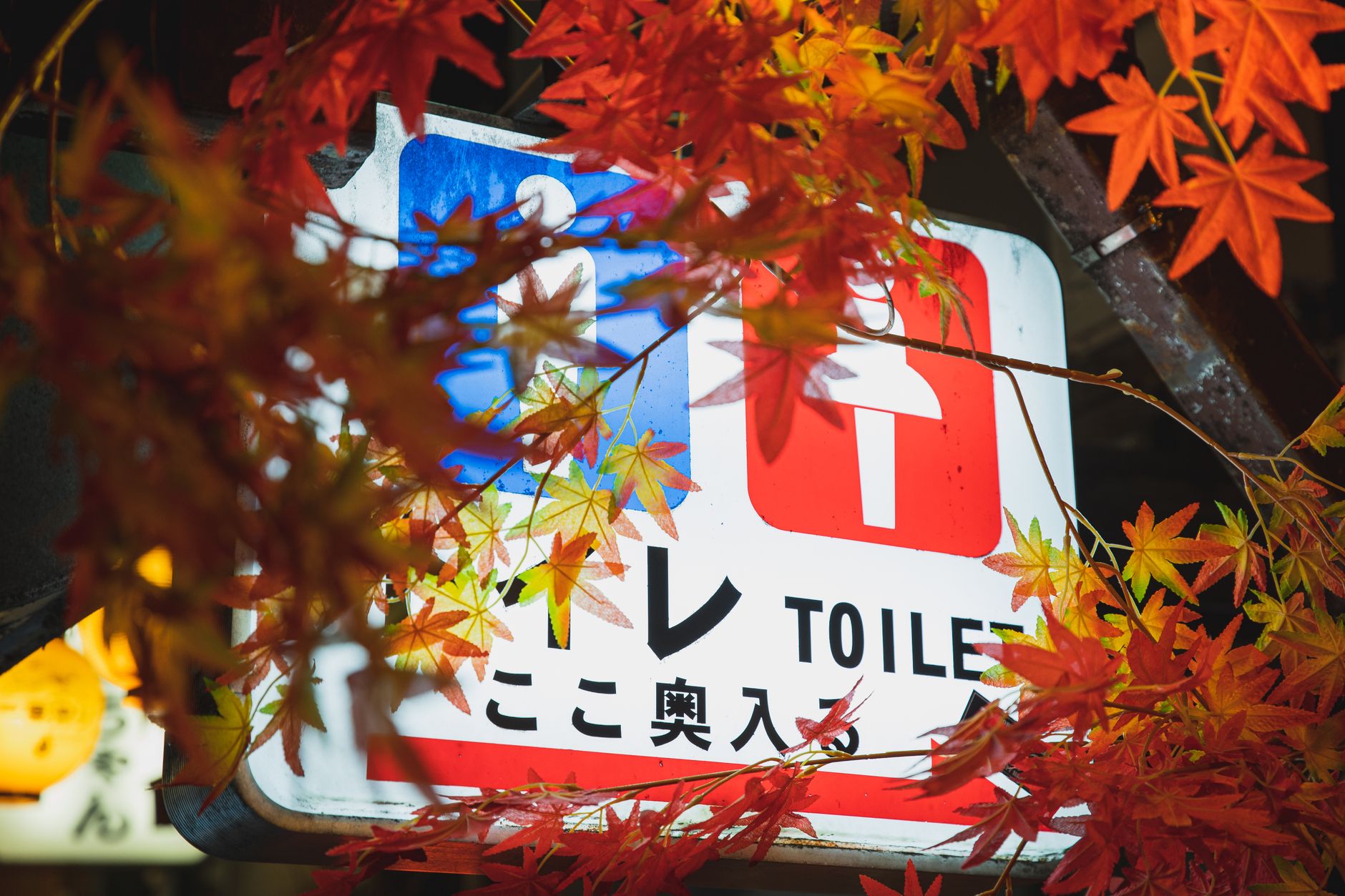 京都の天気がトレンド入りした理由とその影響を徹底分析 – 2026年7月の注目ポイント - はじめに – 京都の天気がなぜ話題になったのか