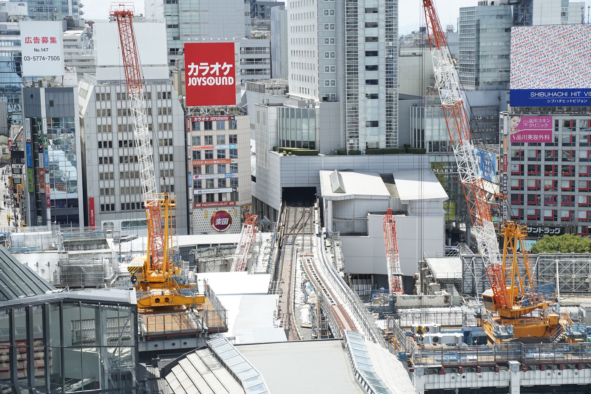 B.PREMIER開幕戦でA東京×琉球がトレンド入りした理由──新時代のバスケを象徴する一戦を解剖する